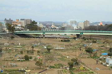 2012年3月16日撮影 愛知県岡崎市 乙川(北東向き)