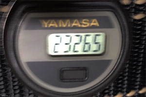 10日間累積