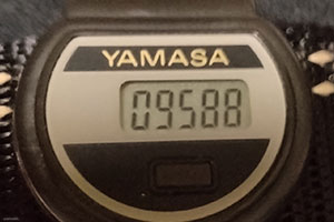 2024年12月10日10時~15時で計測