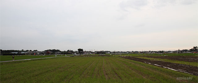 たまむら花火大会