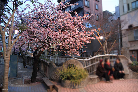 2011年2月6日