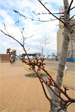 渚小公園