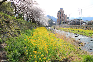 湯河原
