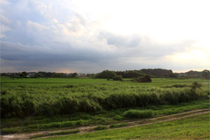 (参考: 2012年8月18日撮影 常総市水海道森下町)