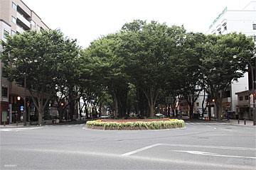 仙台市のイメージ画像(こちらは定禅寺通り)。伐採予定は広瀬通