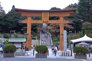 2015年10月31日 撮影 栃木県宇都宮市