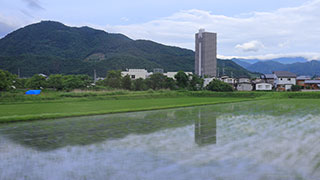 (田んぼに囲まれた高層集合住宅 参考資料)