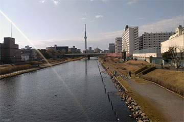 撮影2024年3月7日 江戸川区平井3丁目