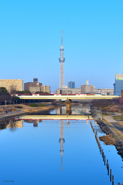 2026年2月15日撮影